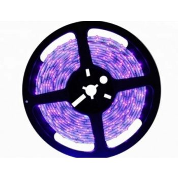 Master UV LED szalag 12V 4,8W 288Lm 60Led/m IP20