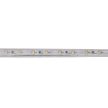 Avide LED tömlő 220V 4,8W 60led/m 480lm 4000K SMD3528 IP67