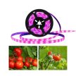 Növénynevelő LED szalag USB csatlakozóval 5V 4W 180Led 3m